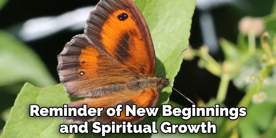 Reminder of New Beginnings and Spiritual Growth