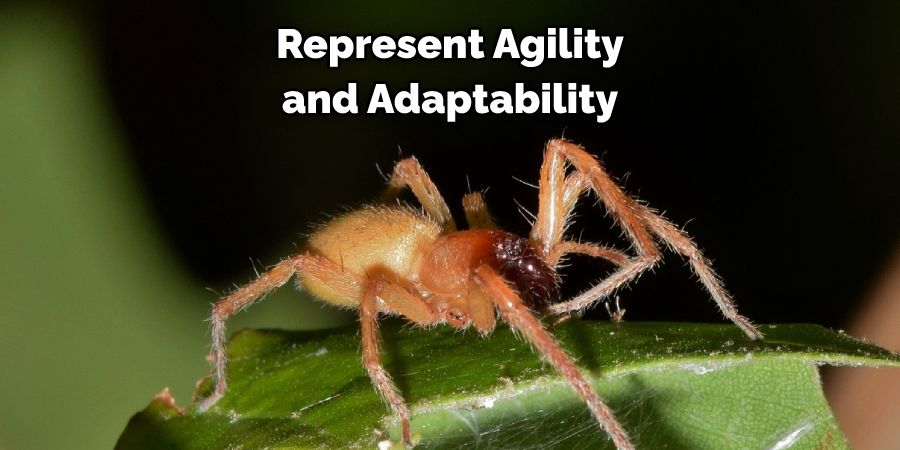 Represent Agility and Adaptability