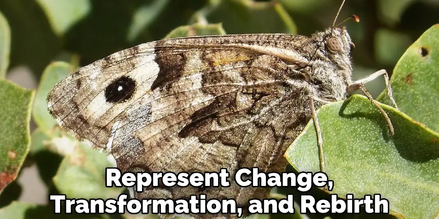 Represent Change, Transformation, and Rebirth