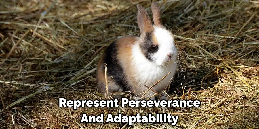 Represent Perseverance 
And Adaptability
