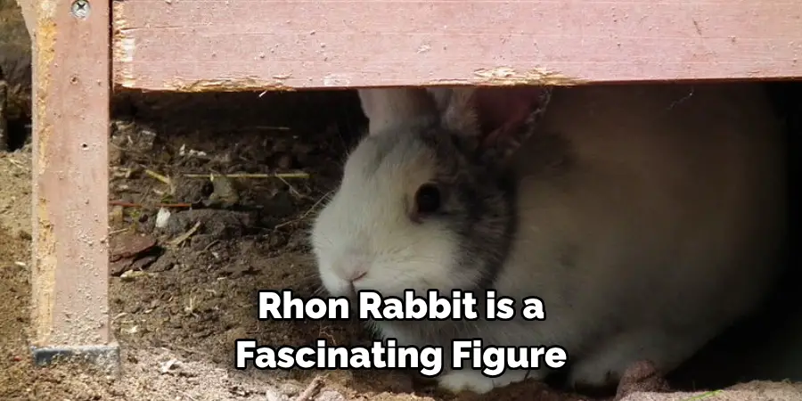 Rhon Rabbit is a 
Fascinating Figure