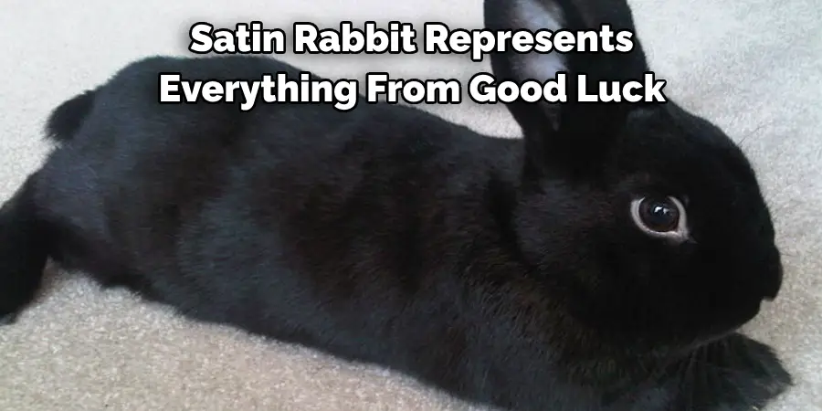 Satin Rabbit Represents 
Everything From Good Luck