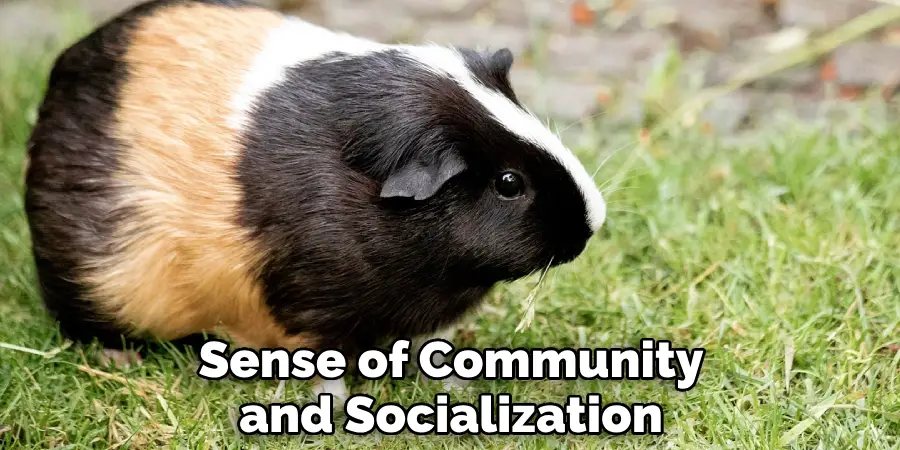 Sense of Community and Socialization