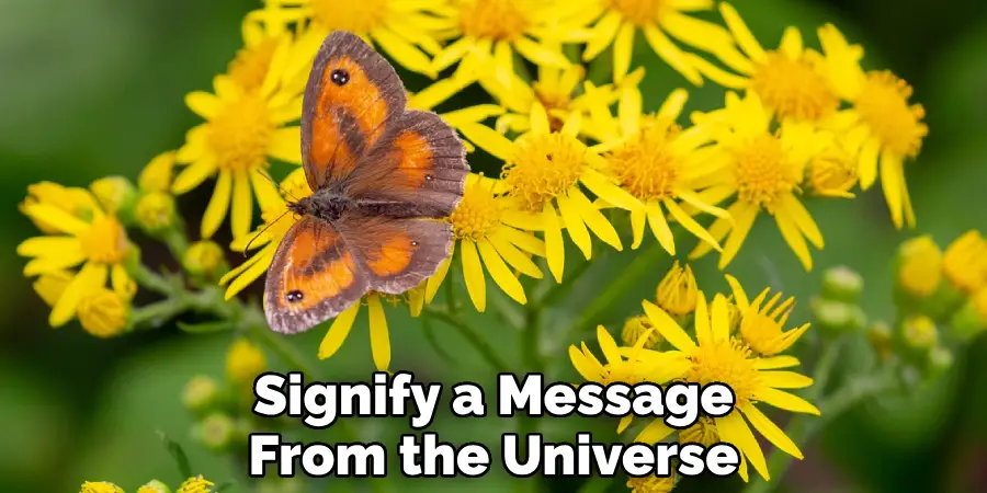 Signify a Message From the Universe