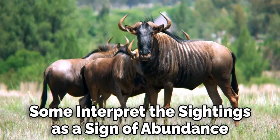 Some Interpret the Sightings as a Sign of Abundance