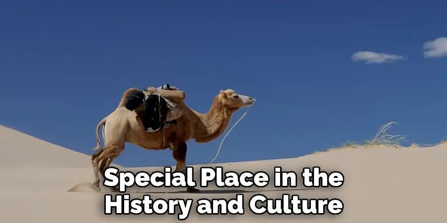 Special Place in the History and Culture