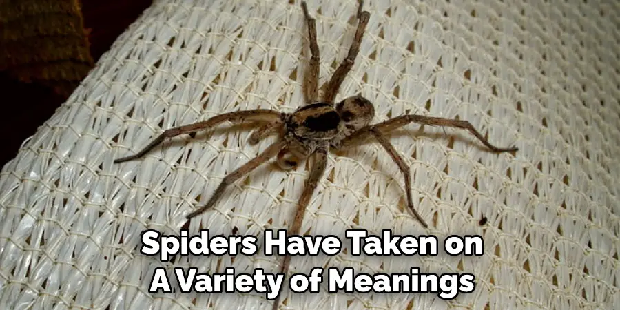 Spiders Have Taken on 
A Variety of Meanings