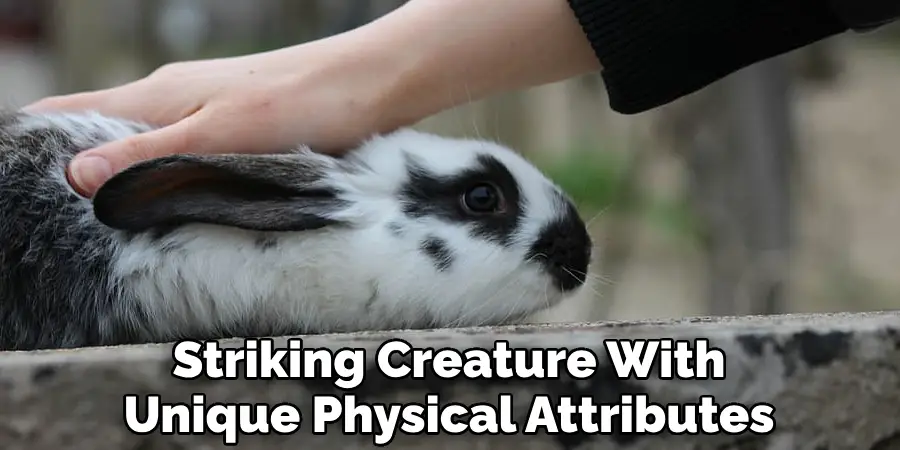 Striking Creature With Unique Physical Attributes