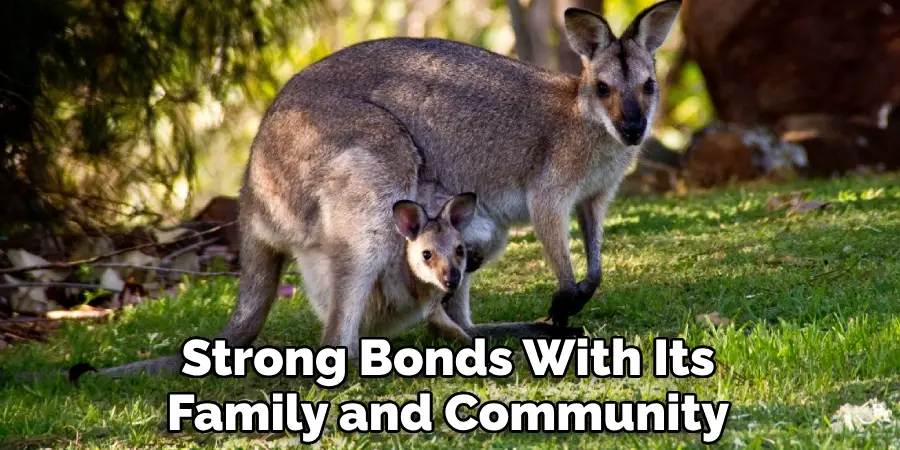Strong Bonds With Its Family and Community