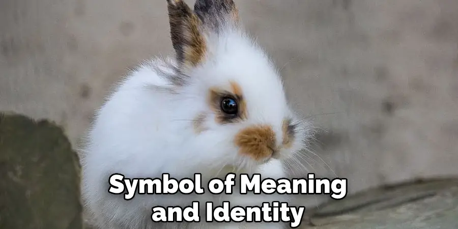 Symbol of Meaning and Identity