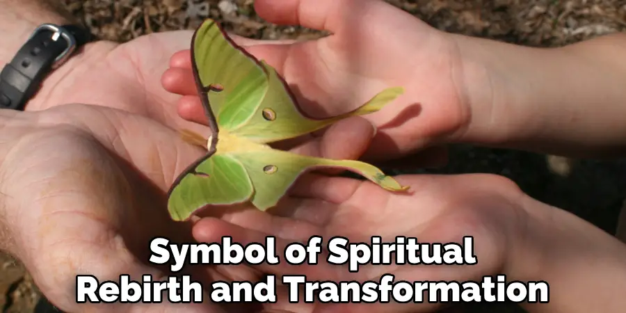 Symbol of Spiritual Rebirth and Transformation