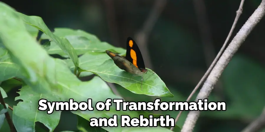 Symbol of Transformation and Rebirth
