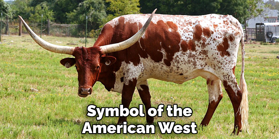 Symbol of the American West