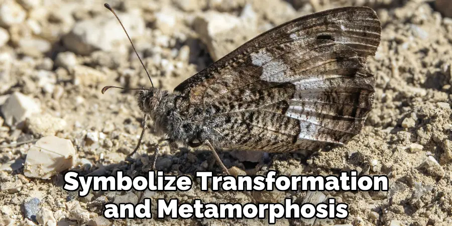 Symbolize Transformation and Metamorphosis