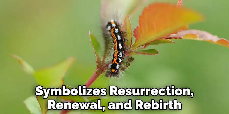 Symbolizes Resurrection, Renewal, and Rebirth