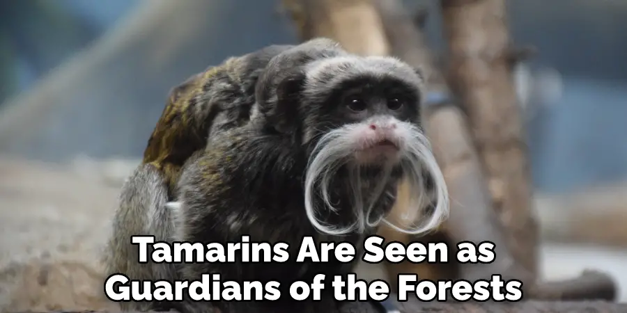 Tamarins Are Seen as Guardians of the Forests