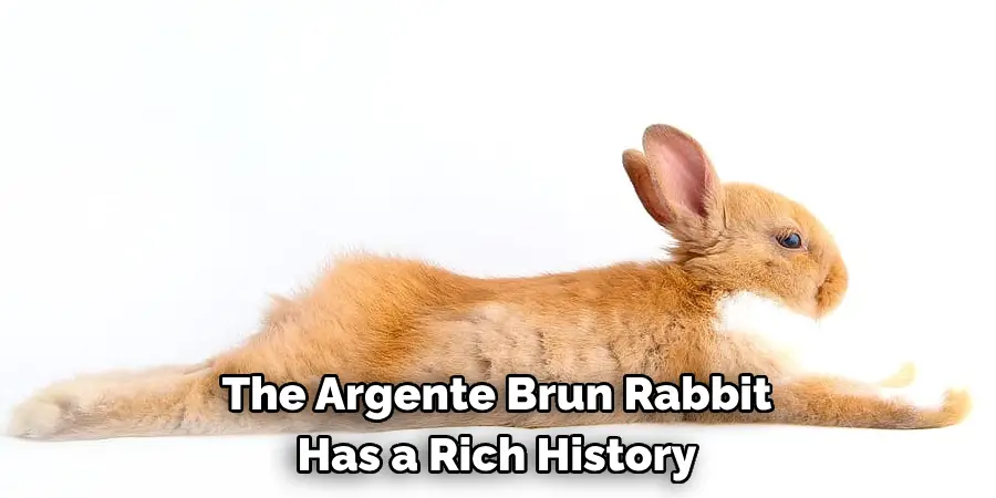 The Argente Brun Rabbit 
Has a Rich History