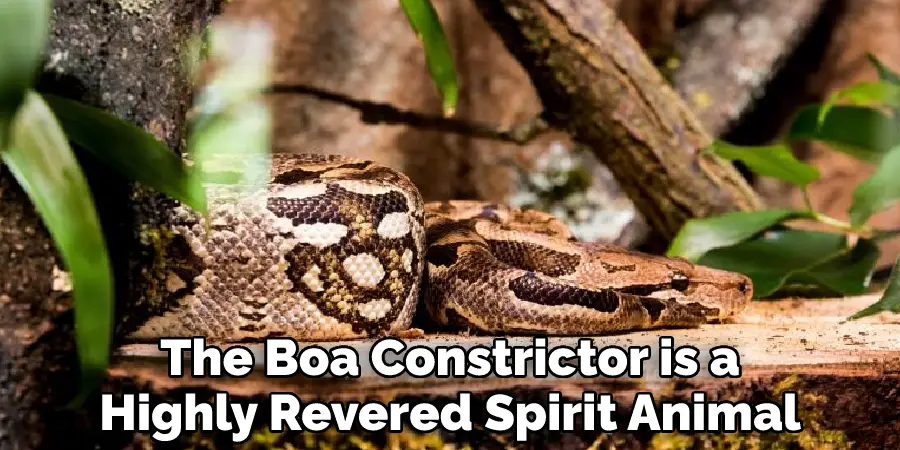 The Boa Constrictor is a Highly Revered Spirit Animal