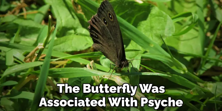 The Butterfly Was Associated With Psyche