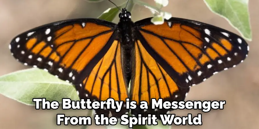 The Butterfly is a Messenger From the Spirit World