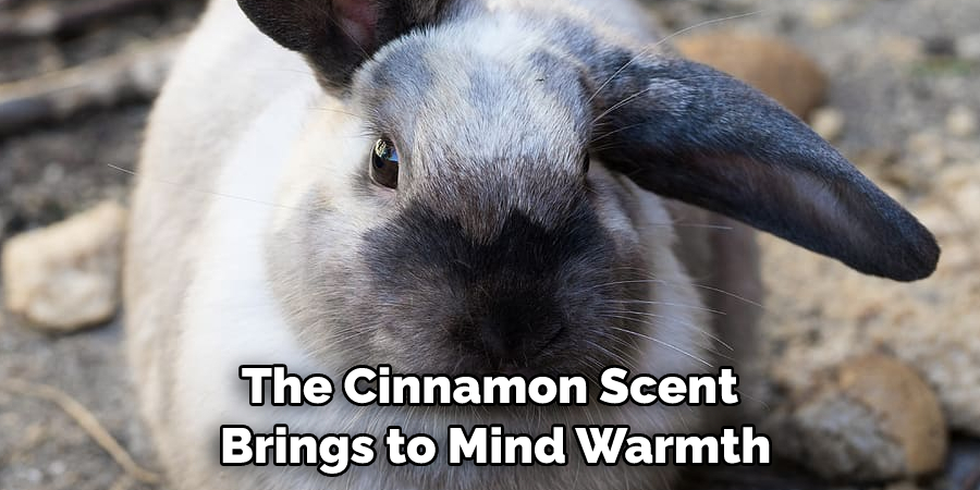 The Cinnamon Scent Brings to Mind Warmth