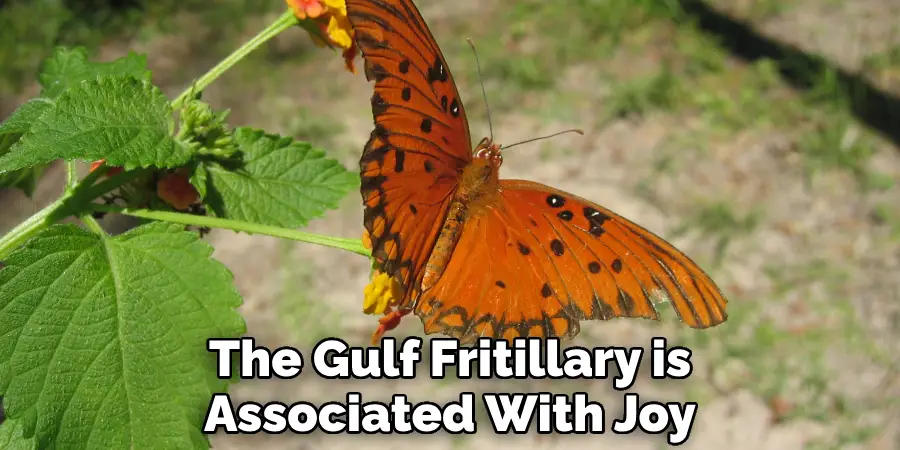 The Gulf Fritillary is Associated With Joy