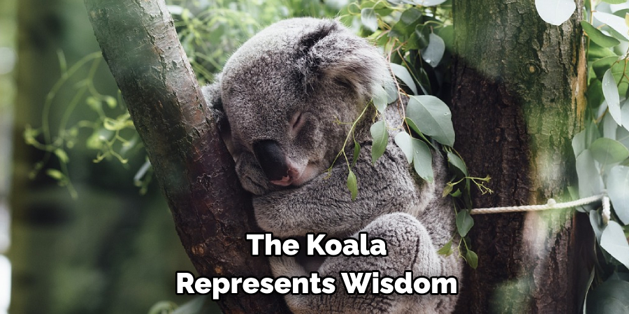 The Koala Represents Wisdom