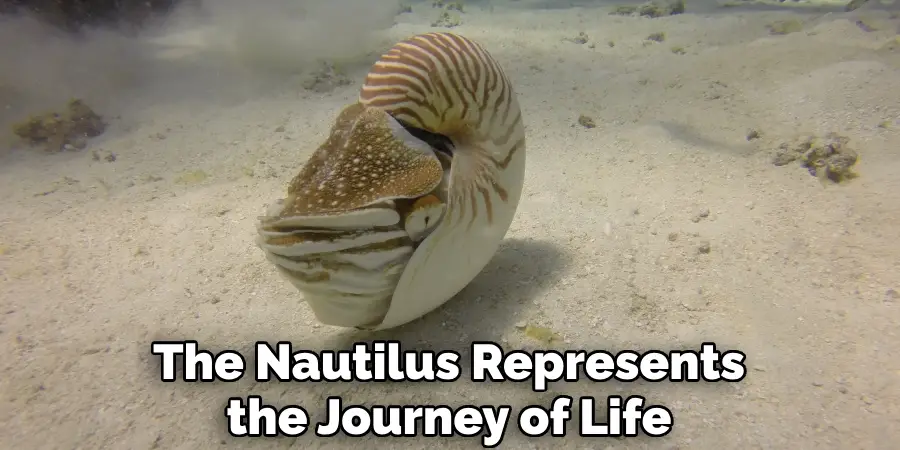 The Nautilus Represents the Journey of Life