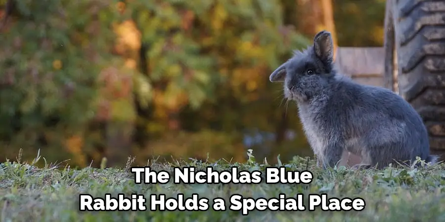 The Nicholas Blue 
Rabbit Holds a Special Place