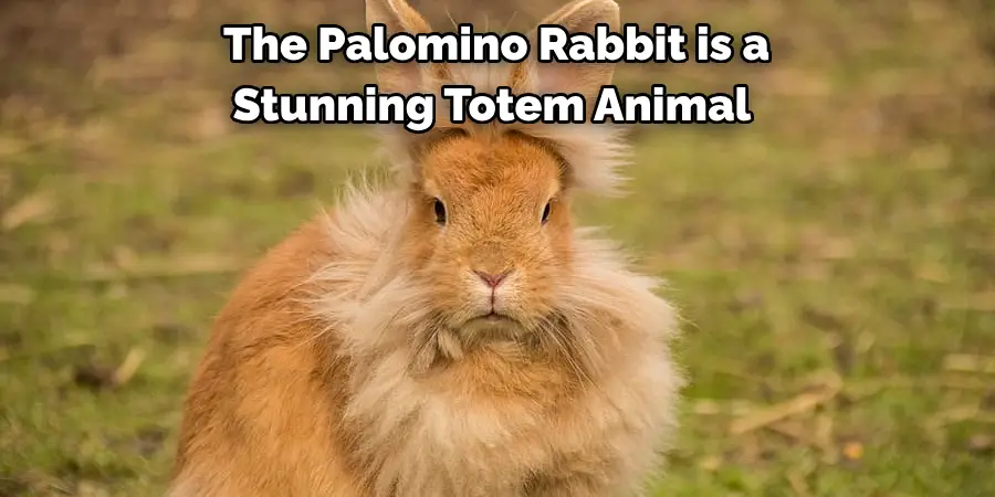 The Palomino Rabbit is a 
Stunning Totem Animal 