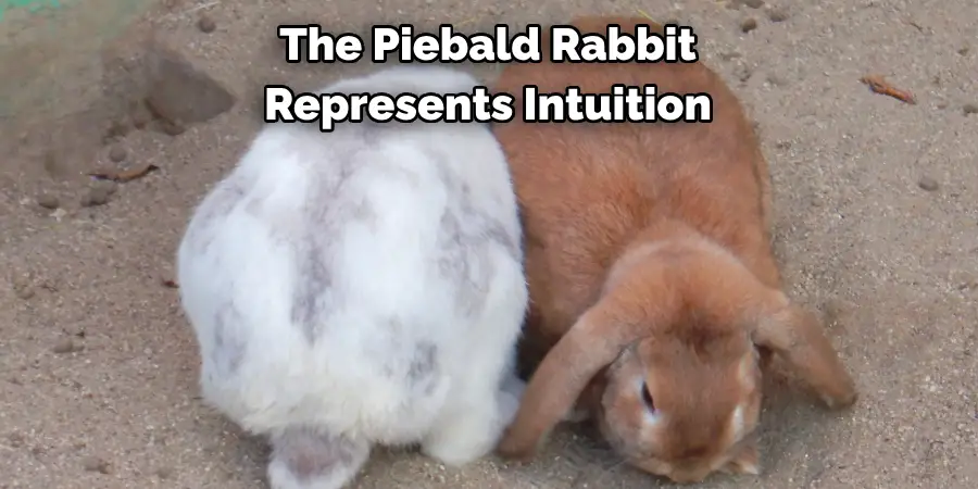 The Piebald Rabbit 
Represents Intuition