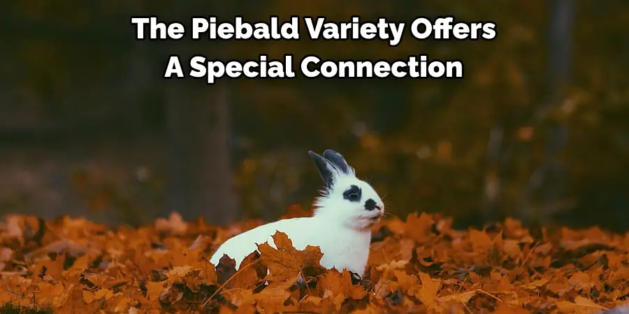 The Piebald Variety Offers 
A Special Connection