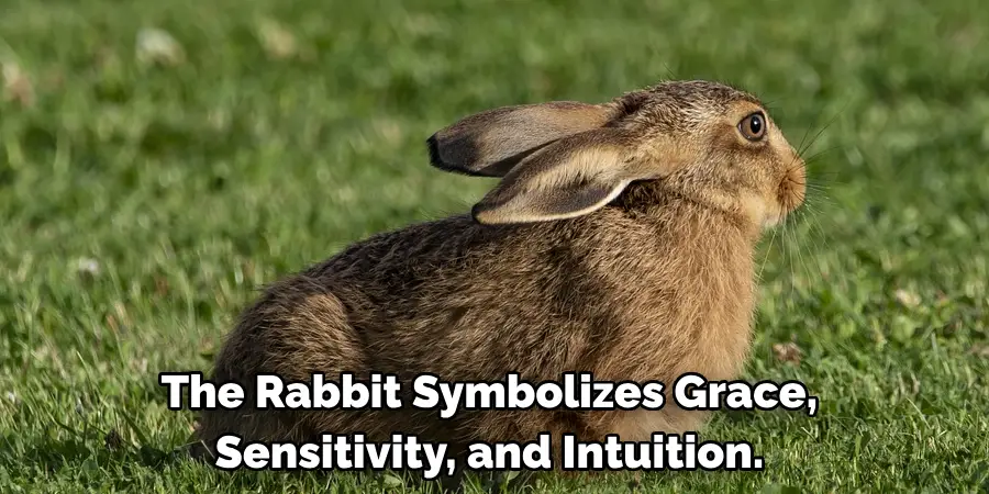 The Rabbit Symbolizes Grace, 
Sensitivity, and Intuition. 