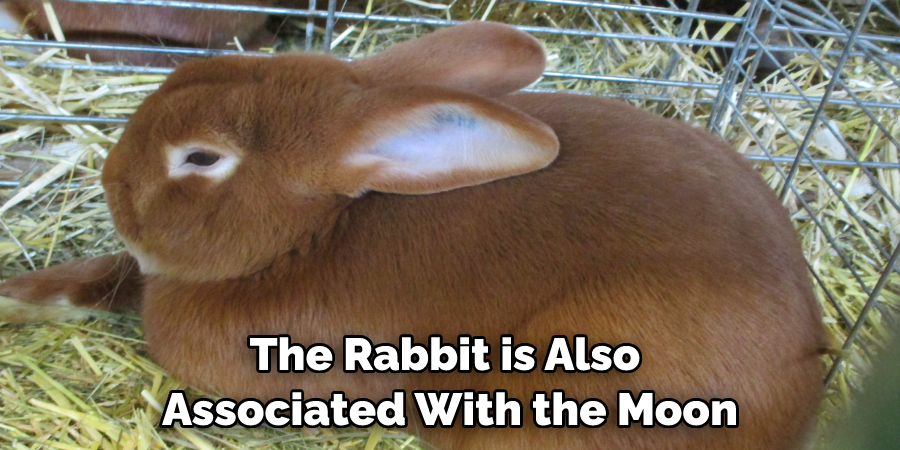The Rabbit is Also Associated With the Moon