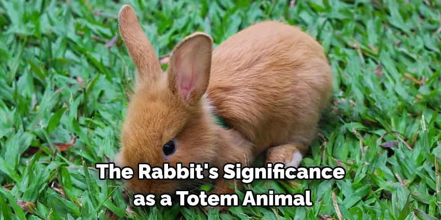 The Rabbit's Significance
 as a Totem Animal