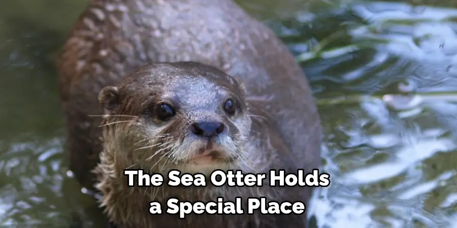 The Sea Otter Holds 
a Special Place