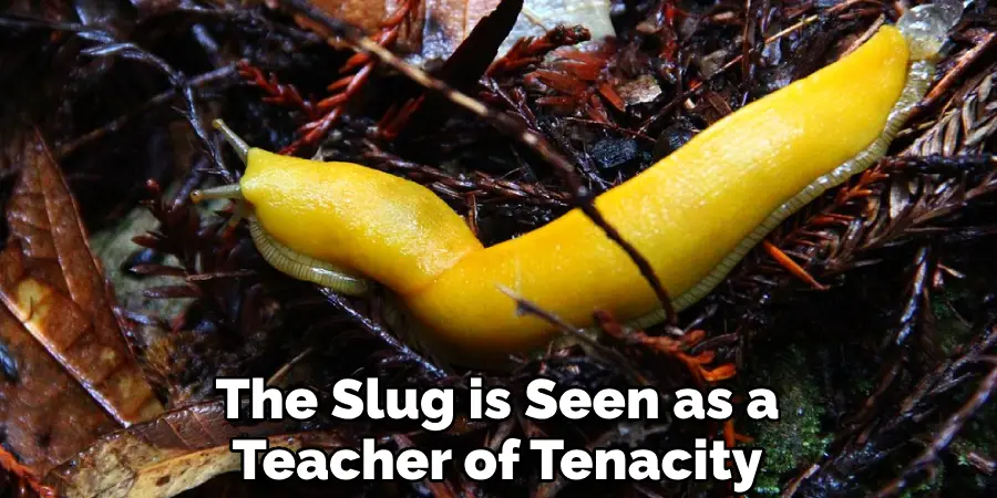 The Slug is Seen as a Teacher of Tenacity