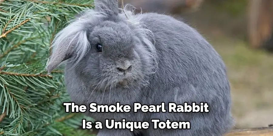 The Smoke Pearl Rabbit 
Is a Unique Totem 