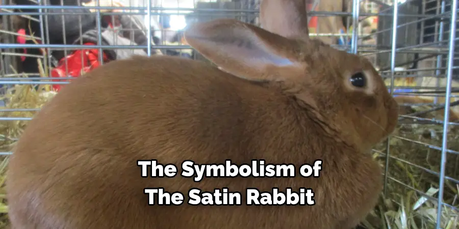 The Symbolism of 
The Satin Rabbit