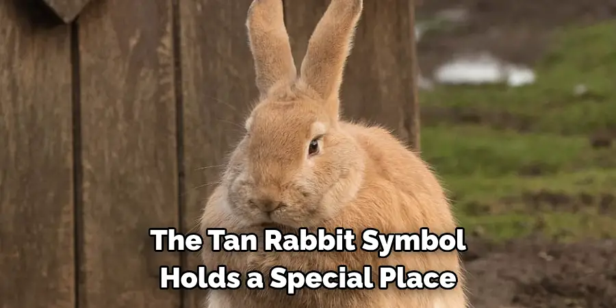 The Tan Rabbit Symbol Holds a Special Place
