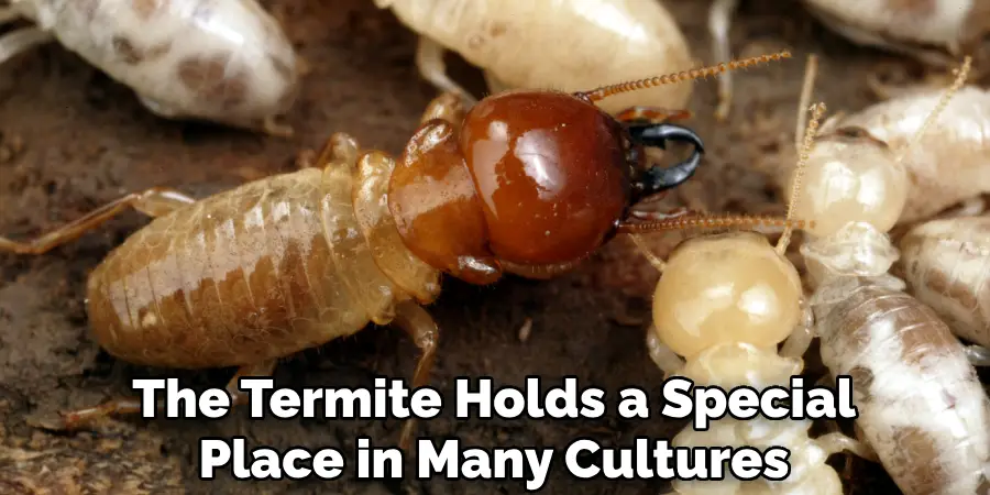 The Termite Holds a Special Place in Many Cultures