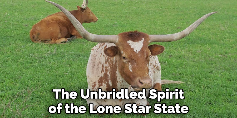 The Unbridled Spirit of the Lone Star State