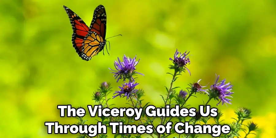 The Viceroy Guides Us Through Times of Change
