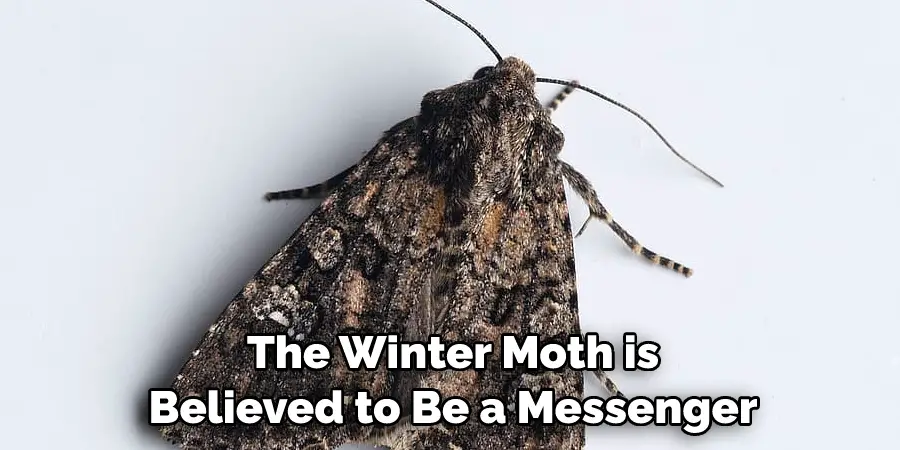 The Winter Moth is 
Believed to Be a Messenger 