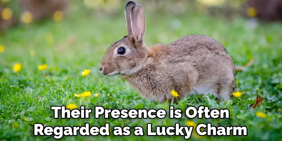 Their Presence is Often Regarded as a Lucky Charm