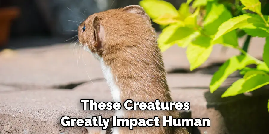 These Creatures 
Greatly Impact Human