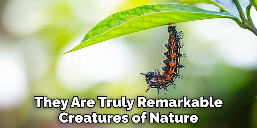 They Are Truly Remarkable Creatures of Nature