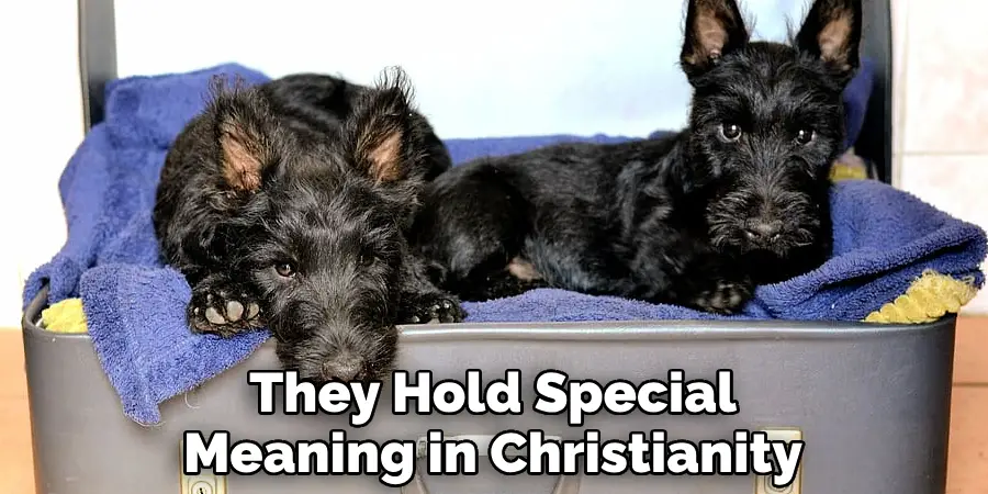 They Hold Special Meaning in Christianity