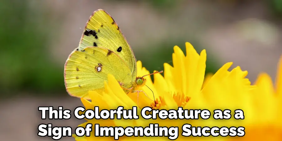 This Colorful Creature as a Sign of Impending Success
