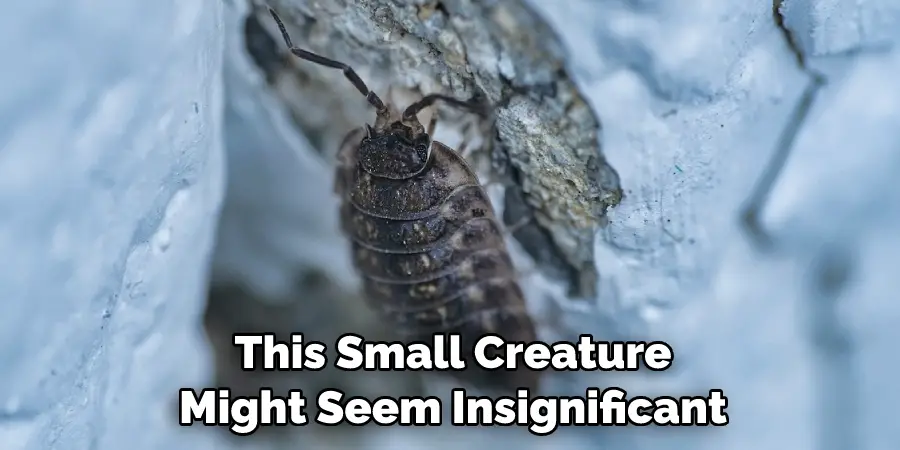 This Small Creature 
Might Seem Insignificant